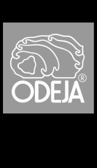 logo_re-design_ODEJA.jpg